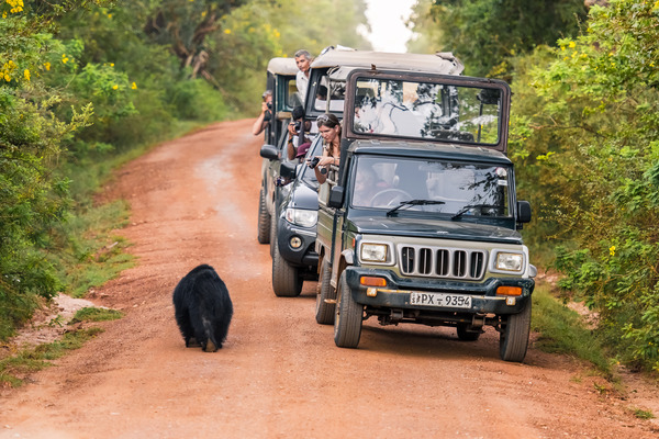 Sri Lanka Wildlife And Beach Tour
