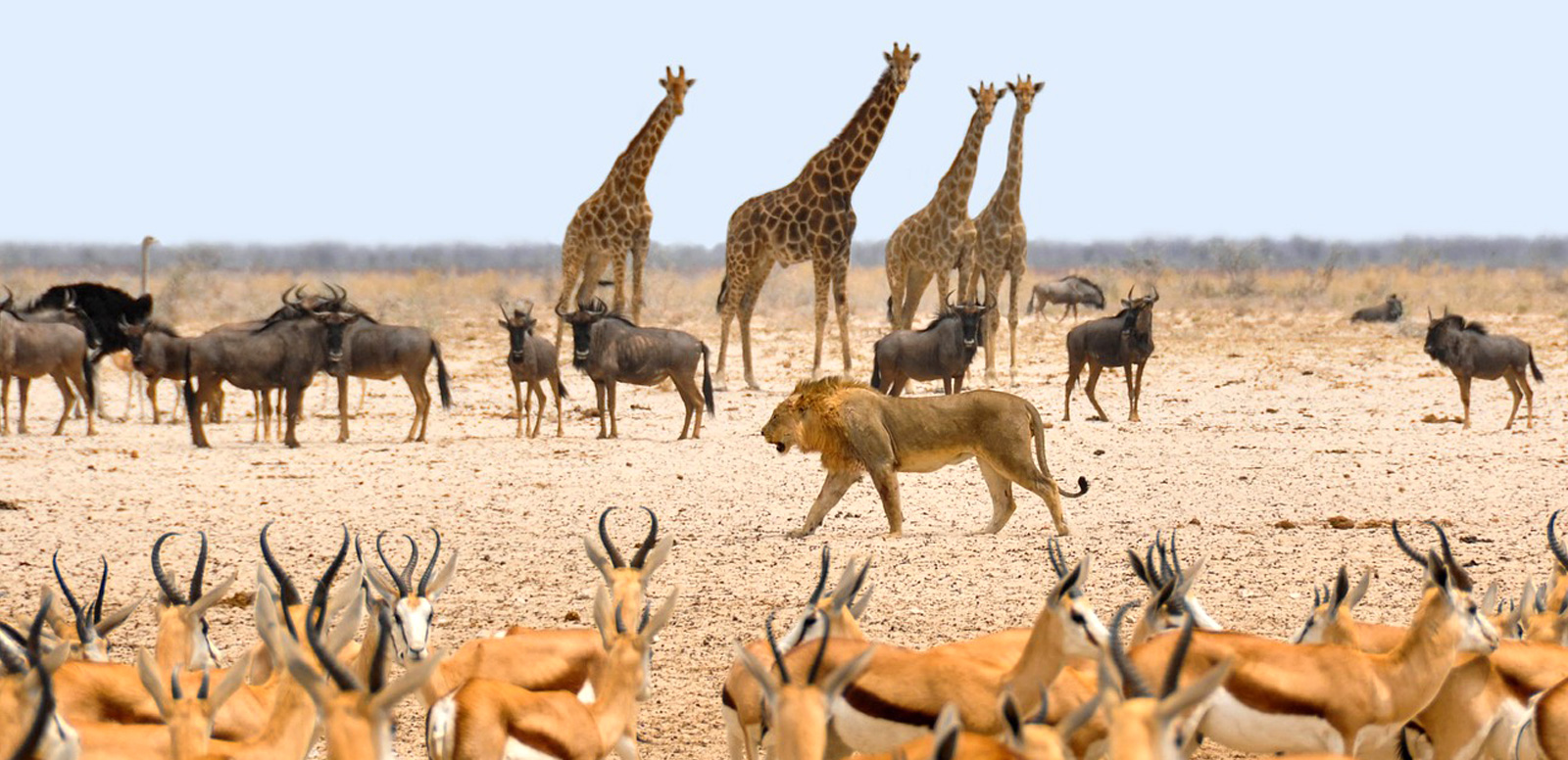 Zimbabwe