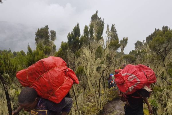 Kilimanjaro Machame Route