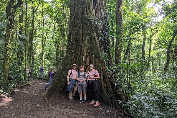 Between Jungle, Beaches and Volcanos