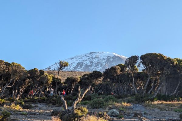 Kilimanjaro Lemosho Route