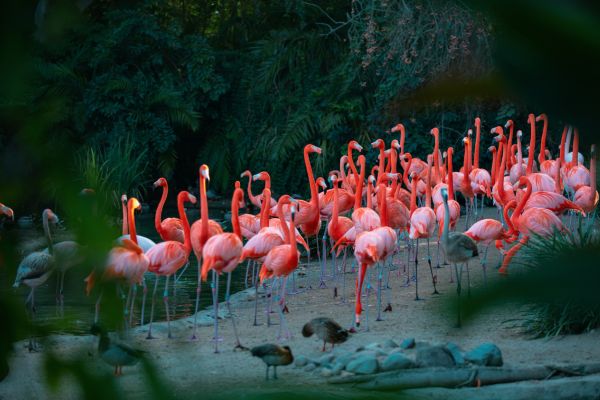 Galapagos Multisports