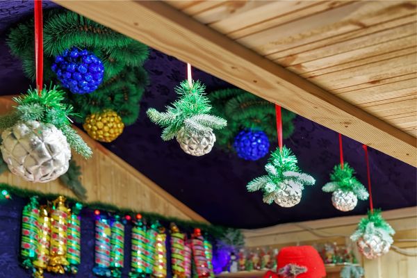 Christmas and Northern Lights Adventure
