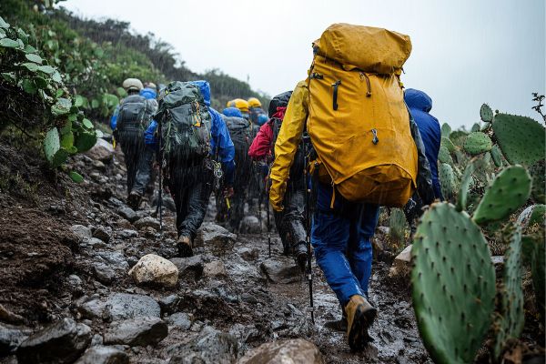 Kilimanjaro Rongai Route