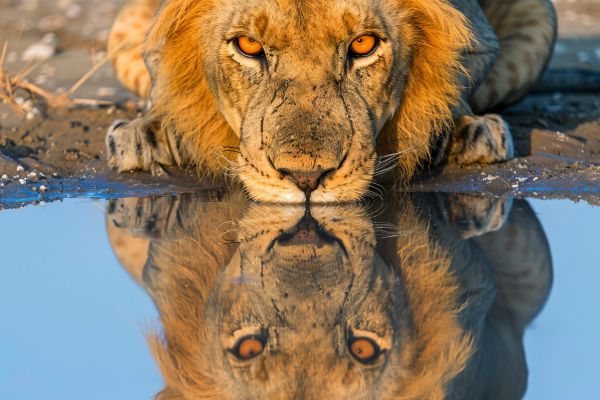 Rwanda's Iconic Trio: Kigali, Akagera, Volcanoes