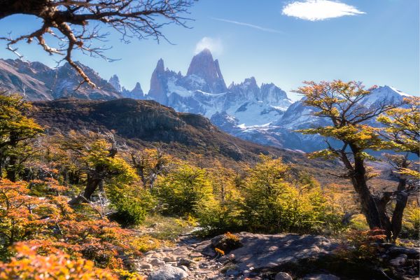 Treasures of El Chalten