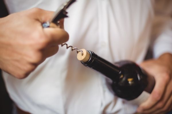 Immerse Mastering Sandeman Port Wine