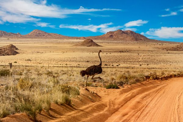 Namibia Sossusvlei Desert Adventure - From Windhoek