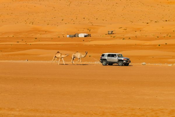 Desert Safari of Oman
