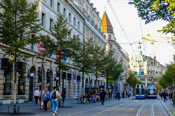 Zurich and the Rhine Falls