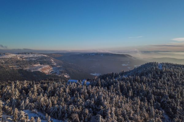 The Black Forest and Alsace