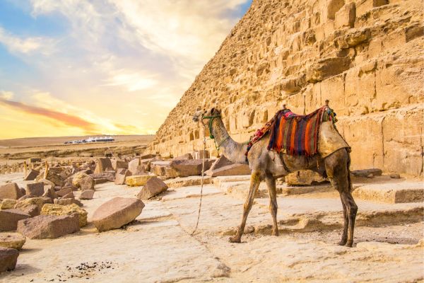 Jordan Private Tour