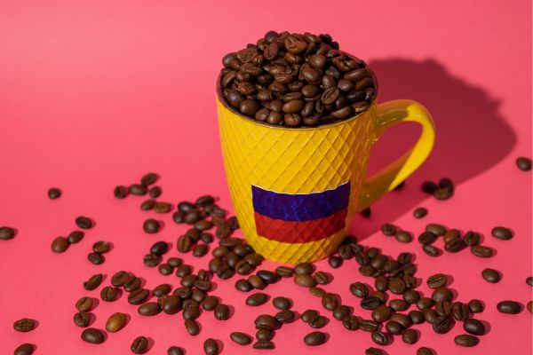 Colombian Discovery: Coffee, Culture, and Caribbean Charm