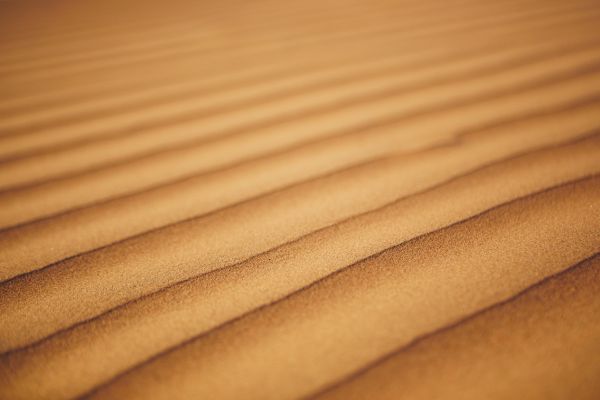 Desert Safari of Oman