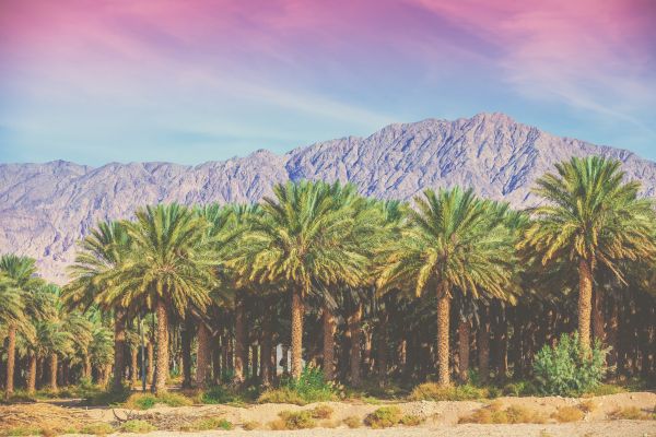 Wadis and Mountains of Oman