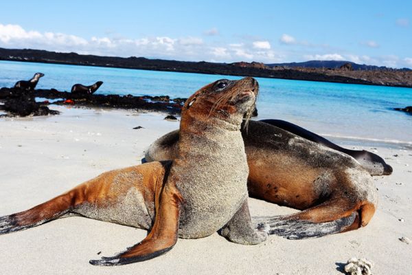 Galapagos Islands