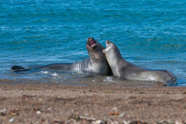 Treasures of the Route