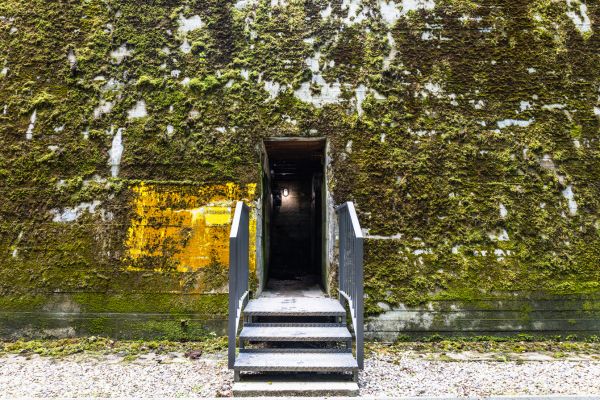 Immerse Historic Berlin - The Third Reich