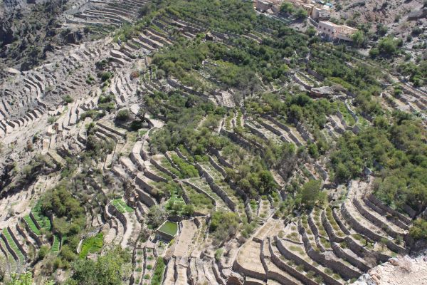 Cool and Green Oman