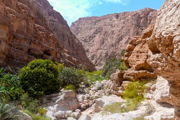 Coastal Trek of Oman