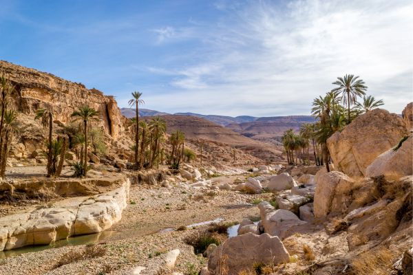 Exploring Wadis of Oman