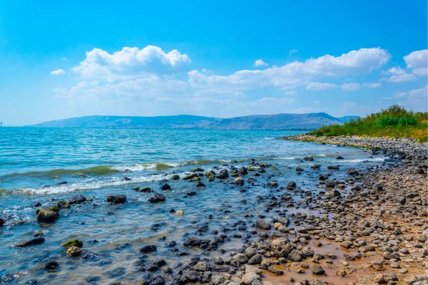 Highlights of Past to the Future - The Story of Israel