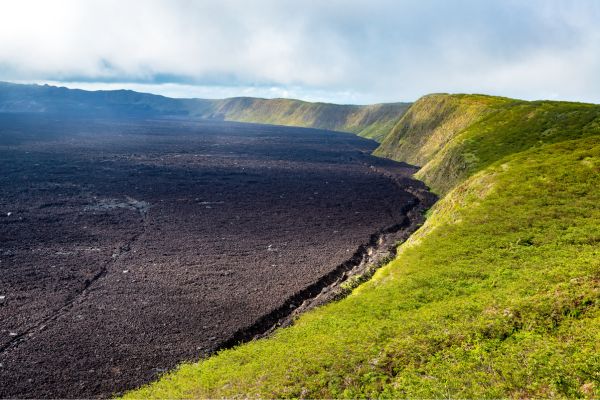 Galapagos Magic Expedition