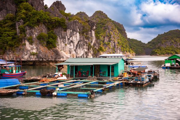 Ecstatic Vietnam and Cambodia