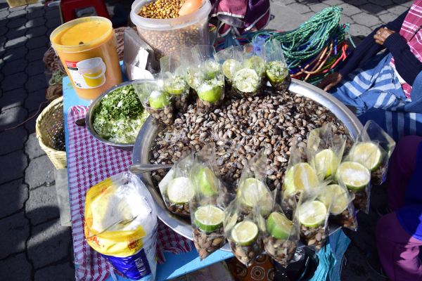 The Best Of Ecuador and Galapagos