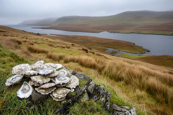 Western Wonders of Scotland