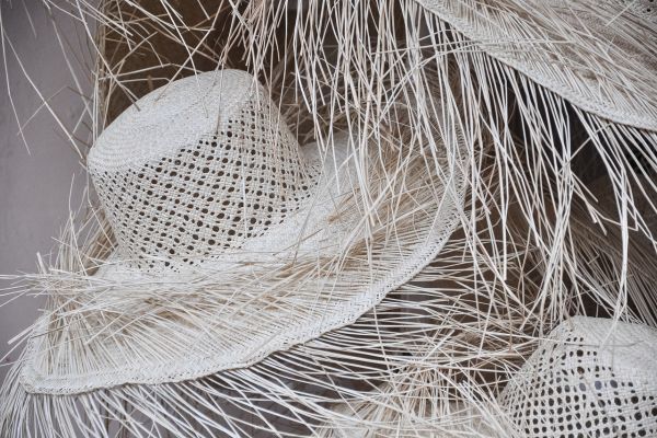 Immerse Panama City Essentials