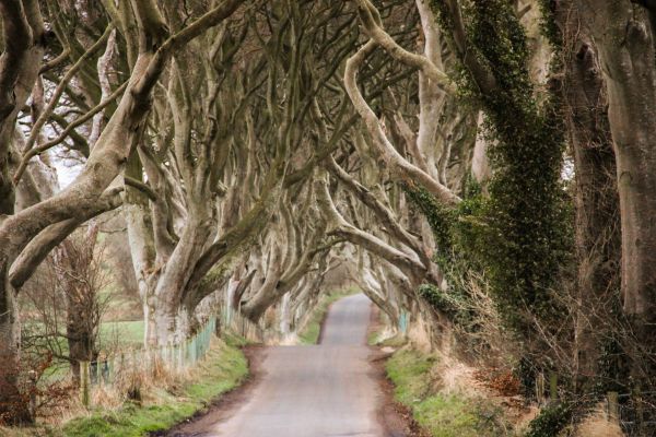 Conquer the Causeway Coast
