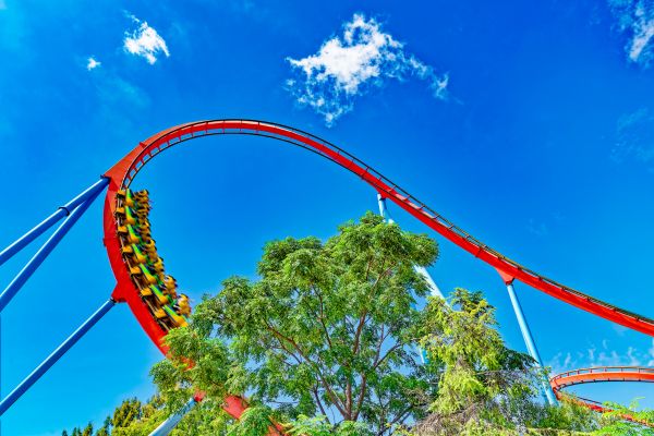 Experience Port Aventura Park