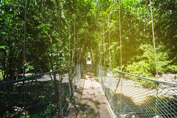 Immerse Tabin Wildlife Safari