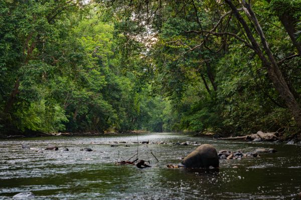 Malaysia Peninsula Round Trip
