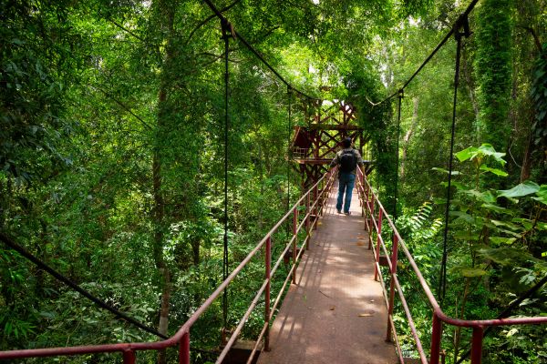 Between Jungle, Beaches and Volcanos