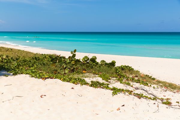 Best of Cuba