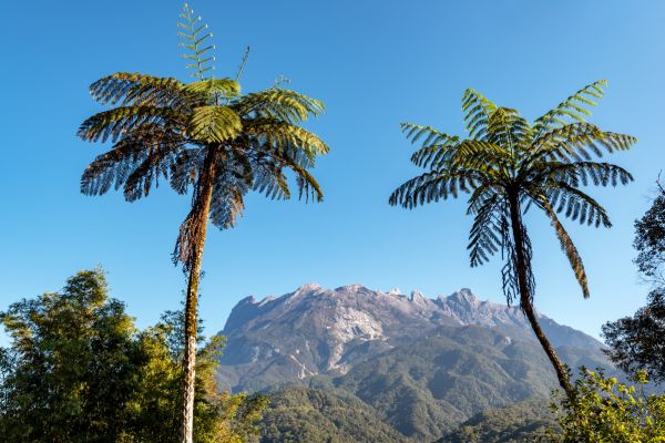 Climbing Mount Kinabalu