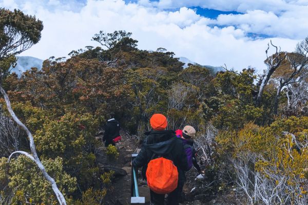 Climbing Mount Kinabalu