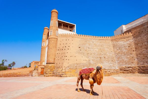 Discover Uzbekistan