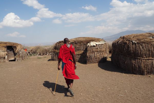 Serengeti's Endless Plains and Ngorongoro's Wonder