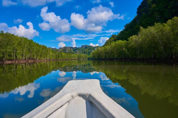 Magical Discovery of Venezuela