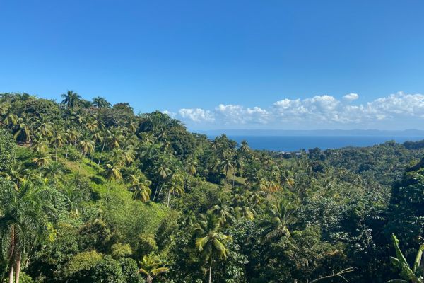 Costa Rica Essentials
