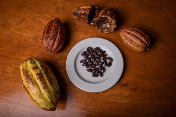 Explore Colombia from the Andes to the Caribbean