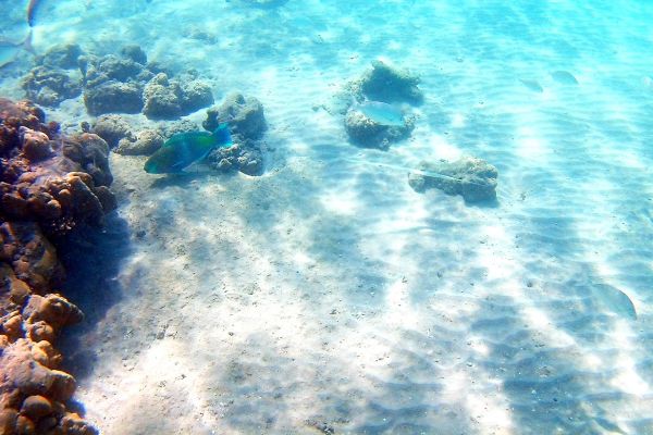 Discover Cairo and Hurghada