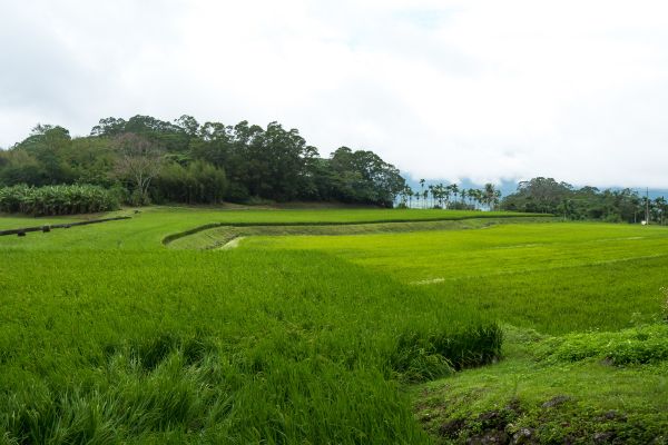 Yilan and Taroko Gorge Park Tour