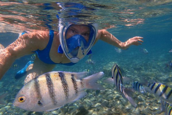 Discover Los Roques