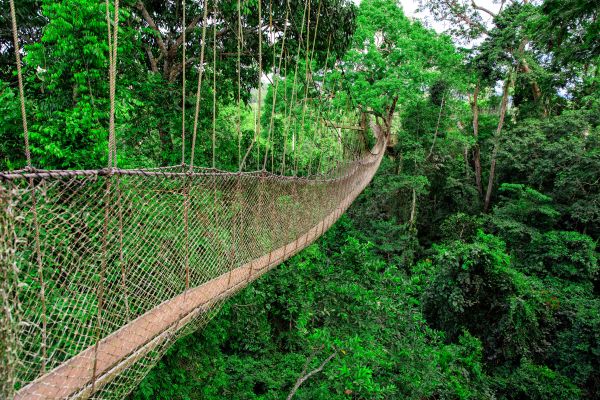 Cocoa Trail and Chocolate Experience