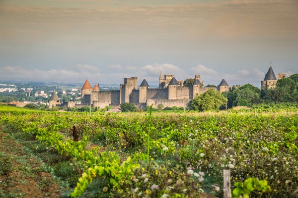 Discovering Paris and Provence