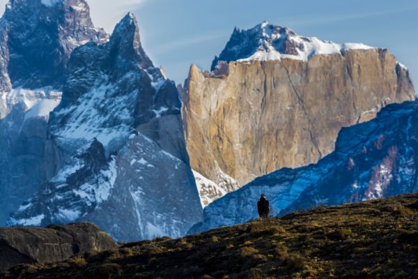 Puerto Natales The Majestic Patagonia